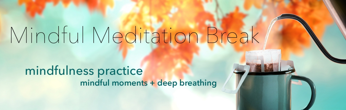 Mindful Meditation Break