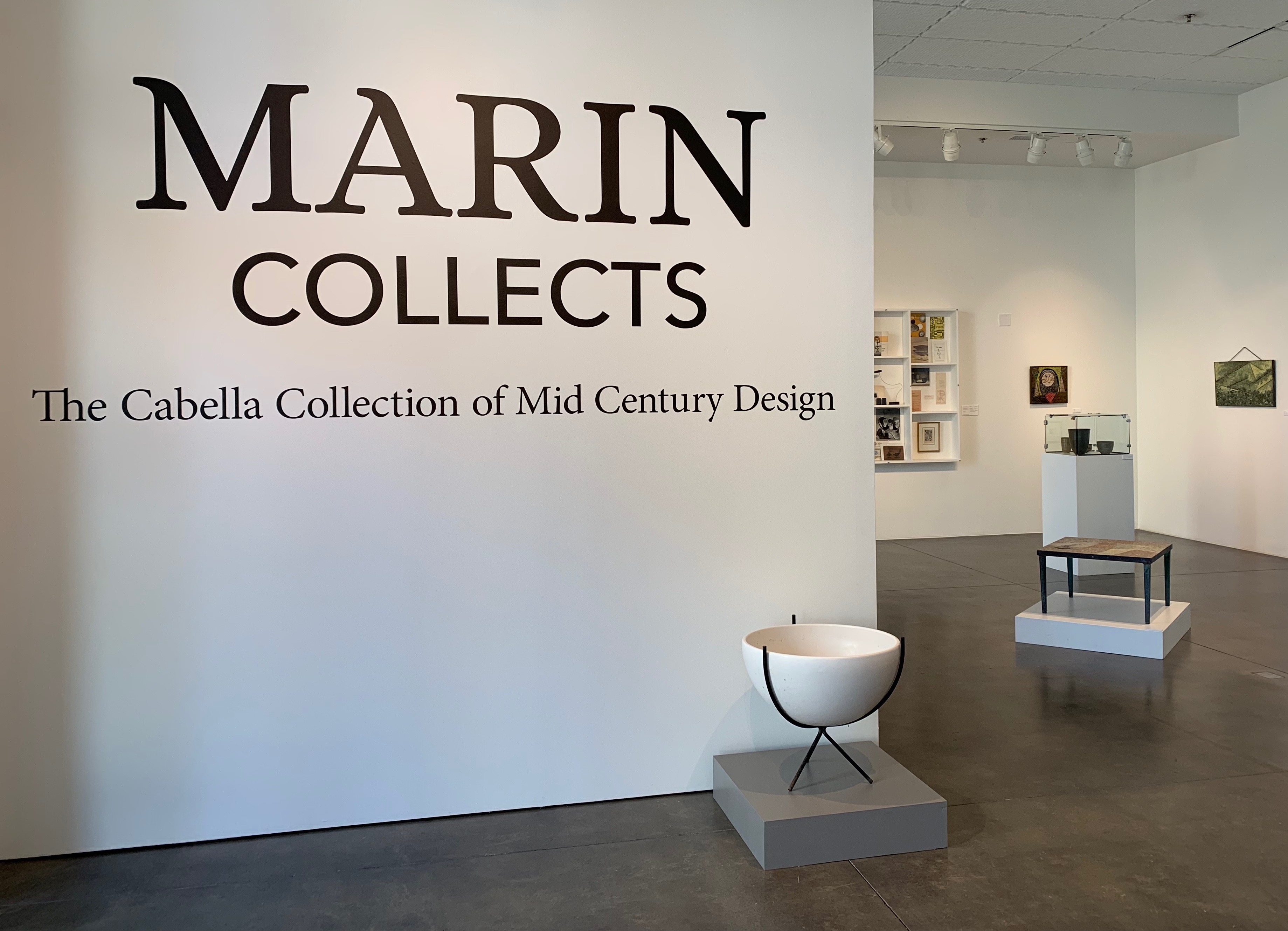 Photo of Marin Collects 2019 exhibit in the Fine Arts Gallery