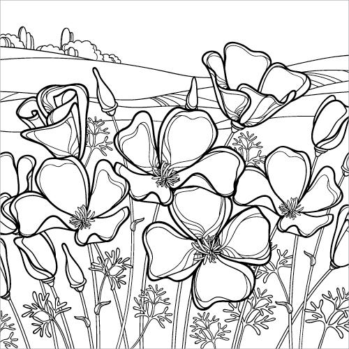 https://www1.marin.edu/sites/default/files/Thumbnail-Coloring-Poppies.jpg