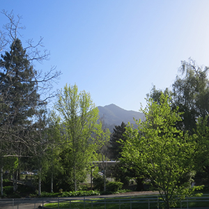 AboutCOM-accreditation_0