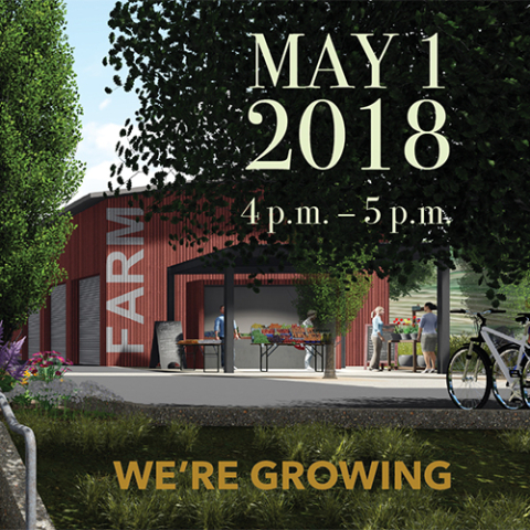 IVOFG-WeAreGrowing-thumbnail