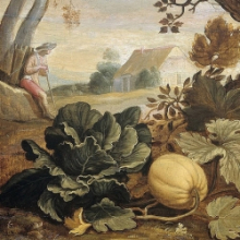 BearingFruit-thumbnail