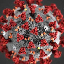 Coronavirus